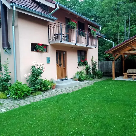 Casa Iulia & Matei Villa Cartisoara Exterior photo