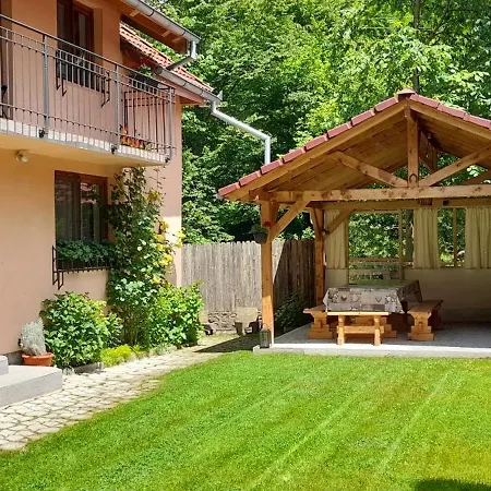 Casa Iulia & Matei Villa Cartisoara Exterior photo