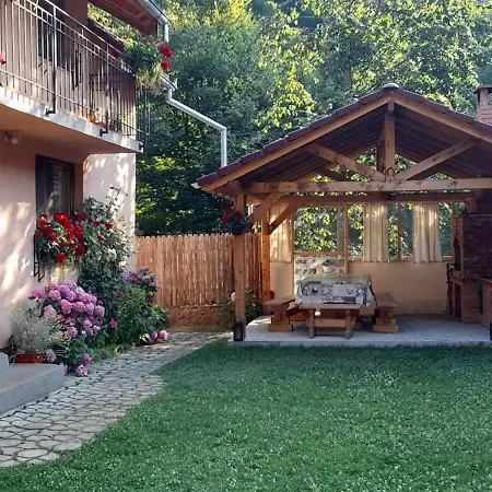 Casa Iulia & Matei Villa Cartisoara Exterior photo