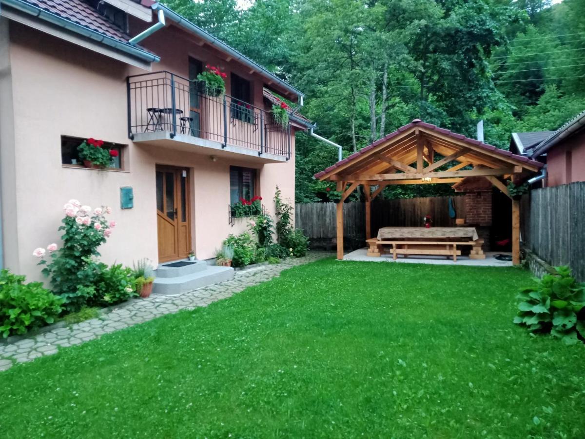 Casa Iulia & Matei Holiday home Cartisoara