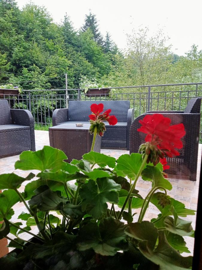 Holiday home Casa Iulia & Matei