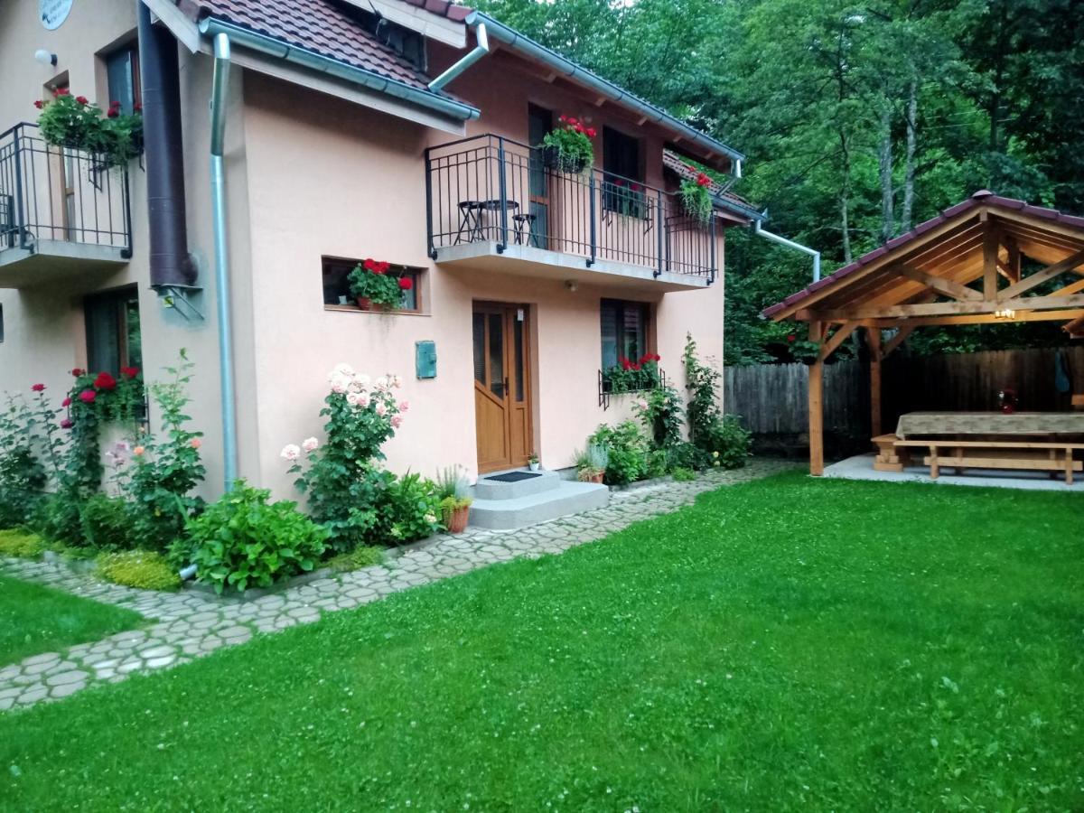 Casa Iulia & Matei Holiday home Cartisoara