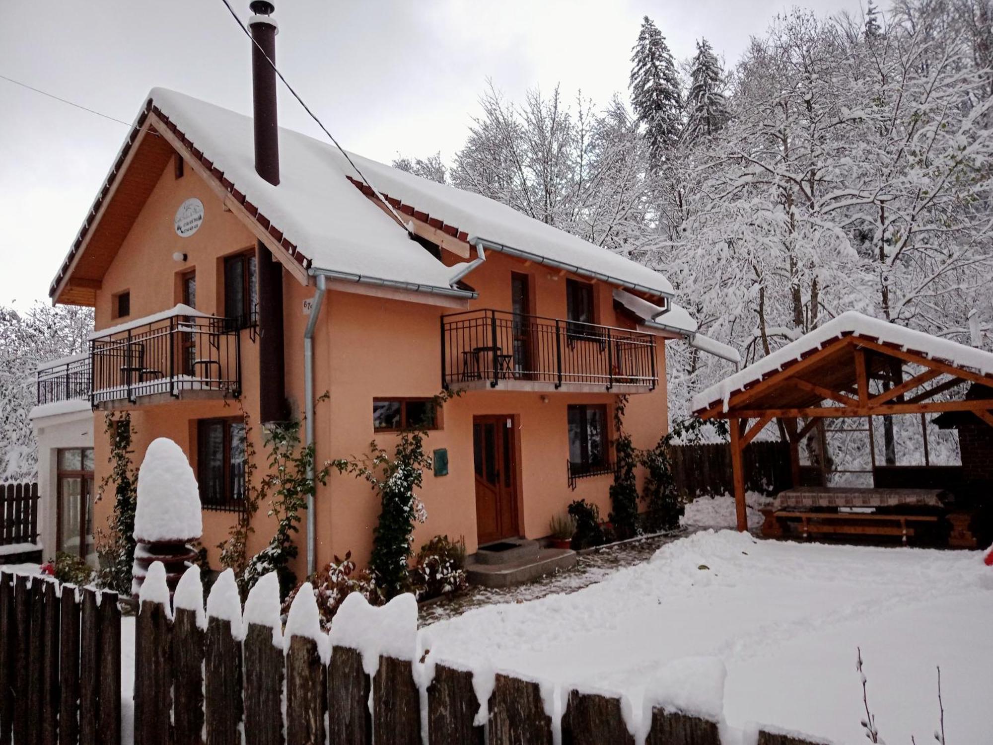 Casa Iulia & Matei Cartisoara